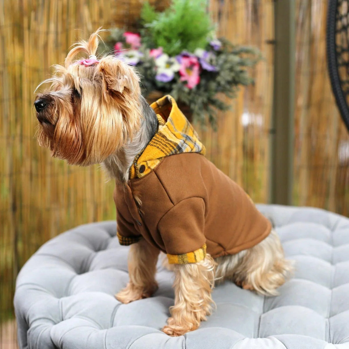 PET APPAREL & ACCESSORIES