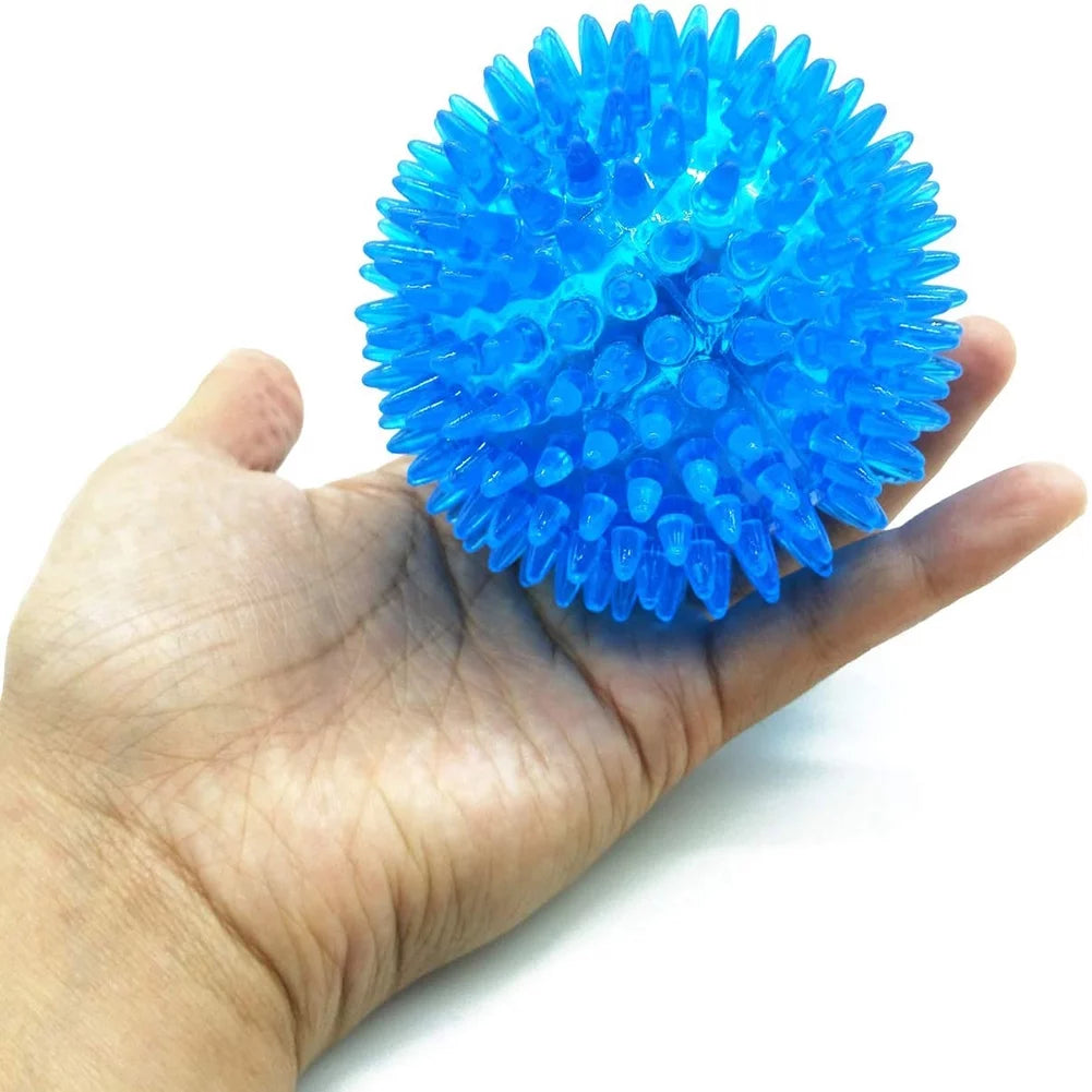 Pet Squeaky Balls Bite-Resistant Chew Toys Balls Interactive Training Pet Toys for Small Medium Dogs