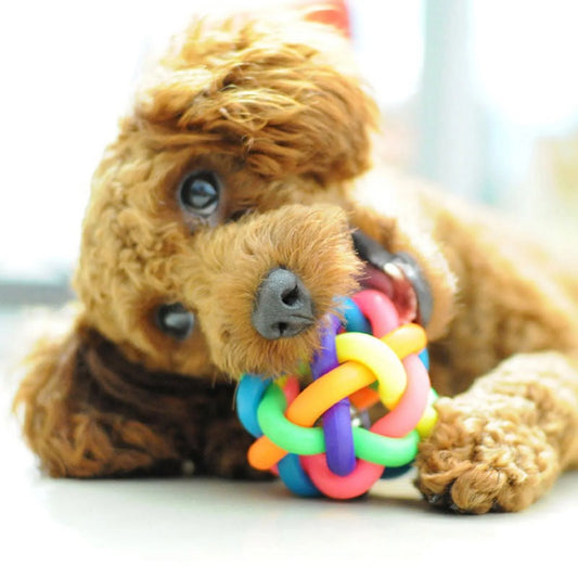 Dog Chew Toys for Aggressive Chewers - Teething Chew Toys for Puppy and Small Dogs