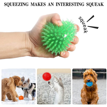 Pet Squeaky Balls Bite-Resistant Chew Toys Balls Interactive Training Pet Toys for Small Medium Dogs