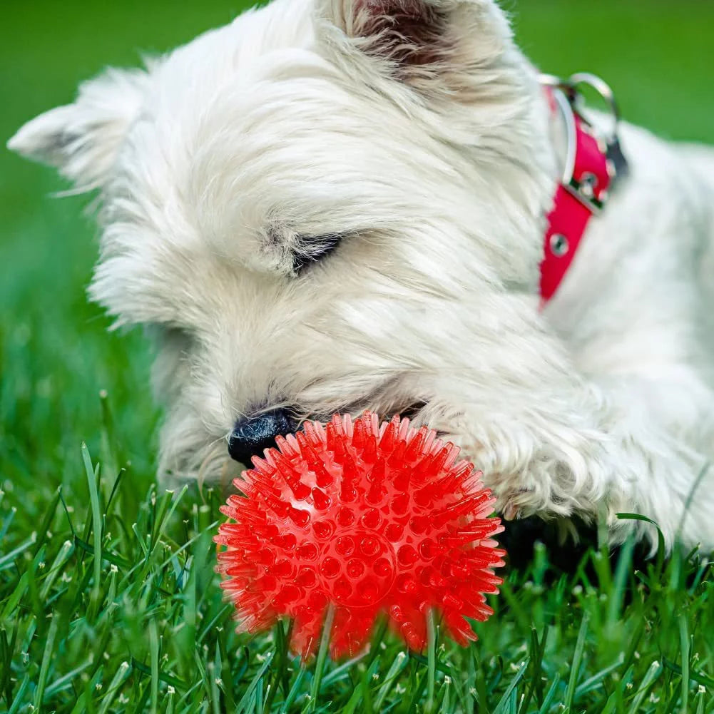 Pet Squeaky Balls Bite-Resistant Chew Toys Balls Interactive Training Pet Toys for Small Medium Dogs