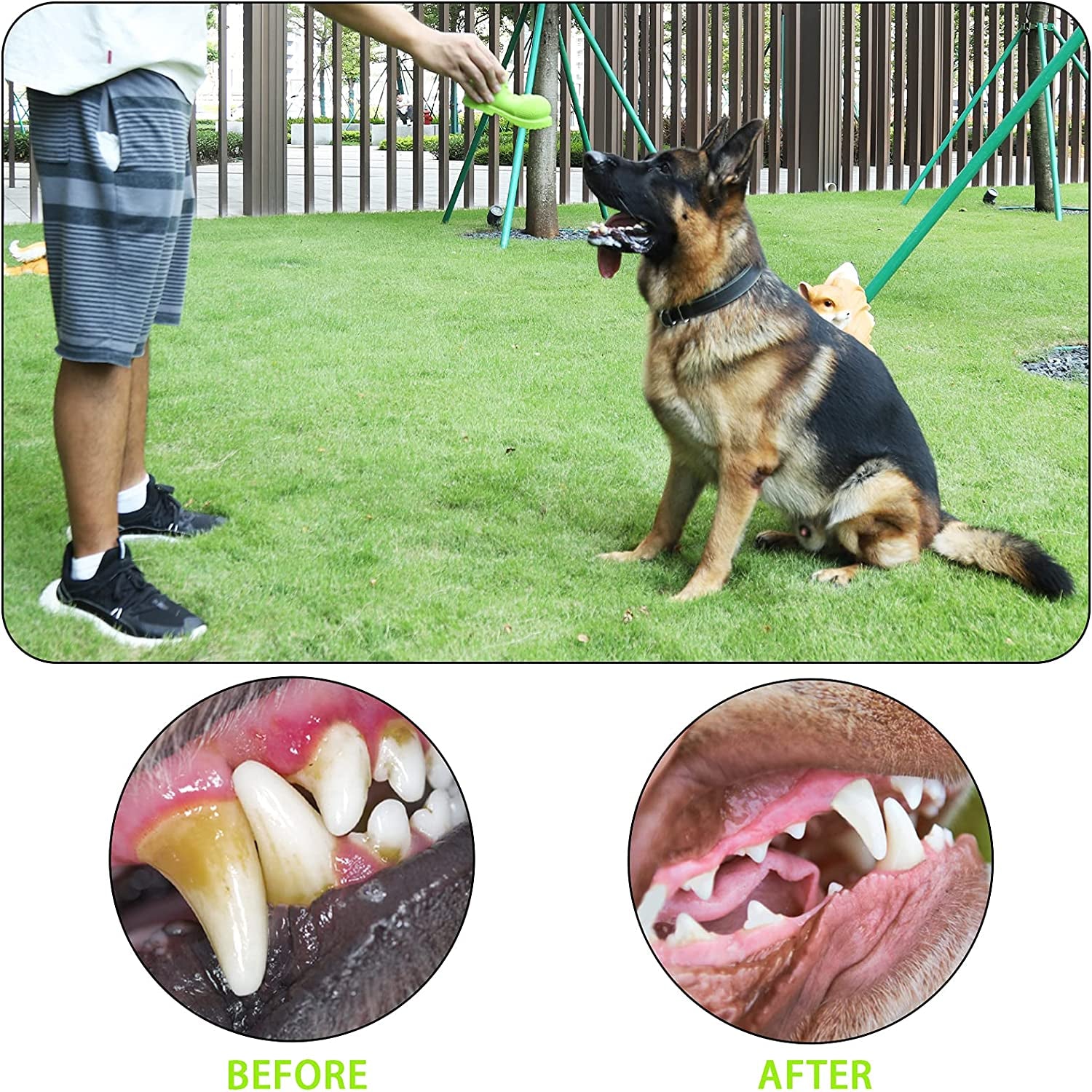 Dog Chew Toys, Rubber Dog Squeaky Chew Toys,Reduces Plaque & Tartar Teeth Cleaning Chew Toys, Tough Tear-Resistant Shoe Shape Dog Toys for Large Dog(Grass Green)